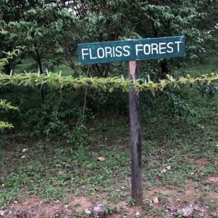 Skilt med Floriss Forest i Kenya